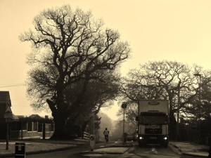 A frosty Segensworth Road West, Titchfield, at around 9 o'clock this morning...