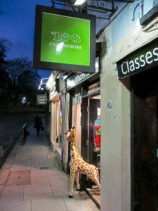 Giraffe peering out of the doorway of 'The 100 Acres' shop in Heath Street, Hampstead...;)